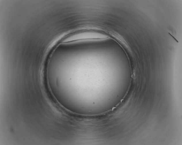 X0000114220436200910231446