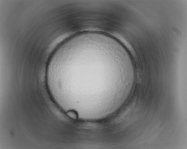 X0000114220437200910231446