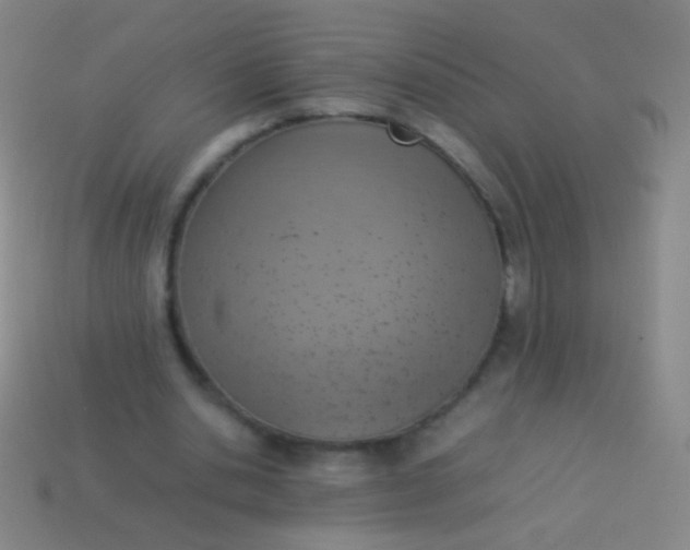 X0000114220438200910231446