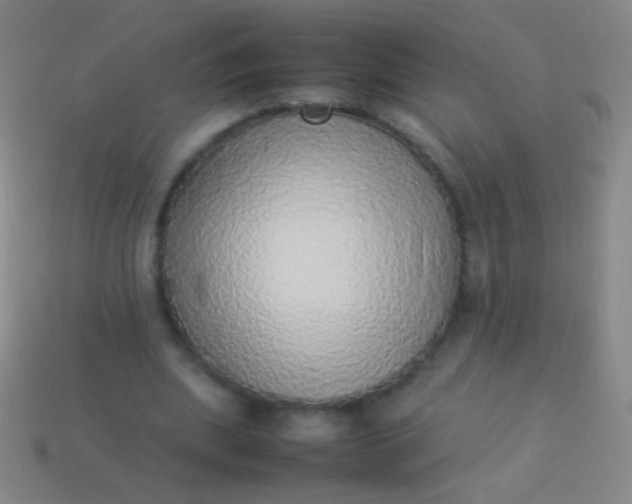 X0000114220439200910231446