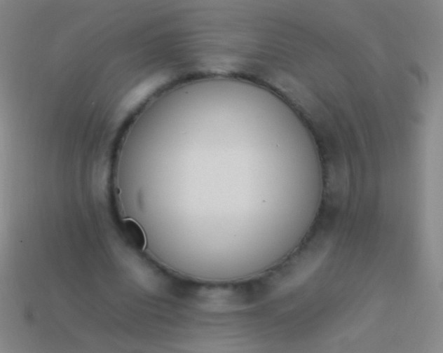 X0000114220440200910231446