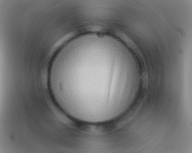 X0000114220442200910231446