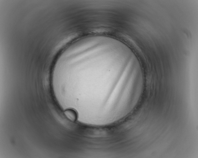 X0000114220443200910231446