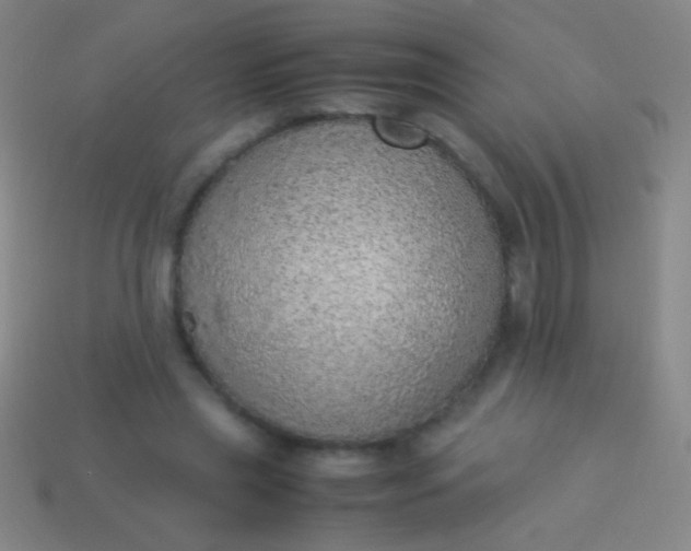 X0000114220445200910231446