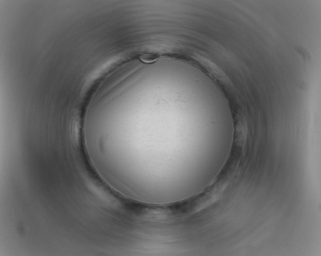 X0000114220446200910231446