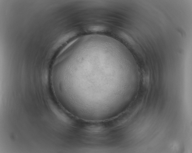 X0000114220447200910231446