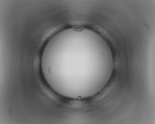 X0000114220448200910231446