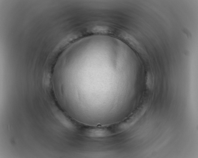 X0000114220449200910231446