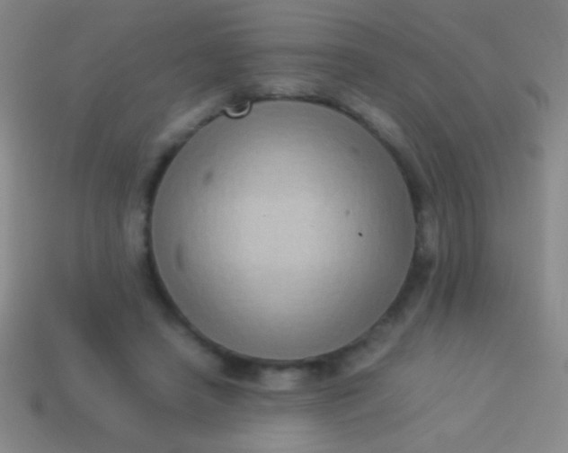 X0000114220450200910231446