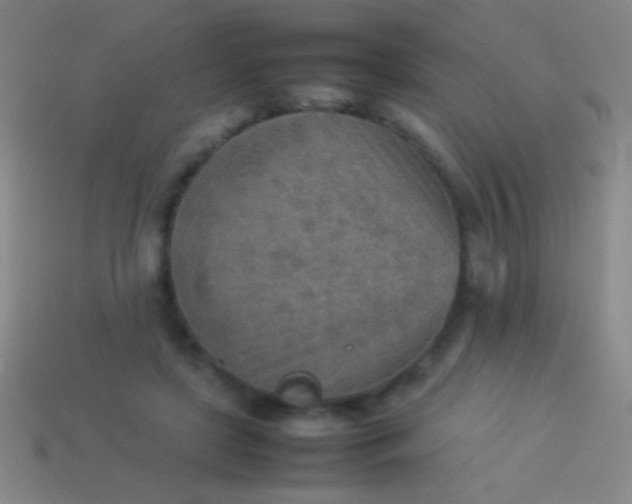 X0000114220451200910231446