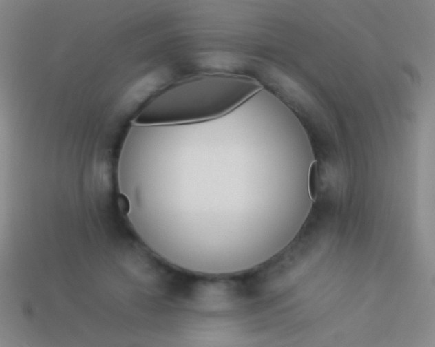 X0000114220452200910231446