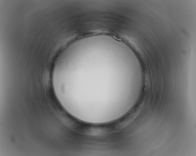 X0000114220453200910231446