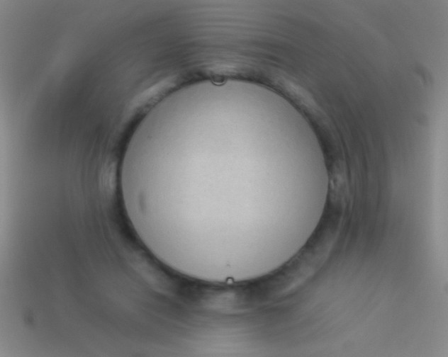 X0000114220454200910231446