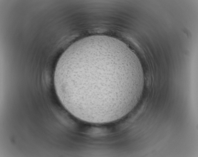 X0000114220455200910231446