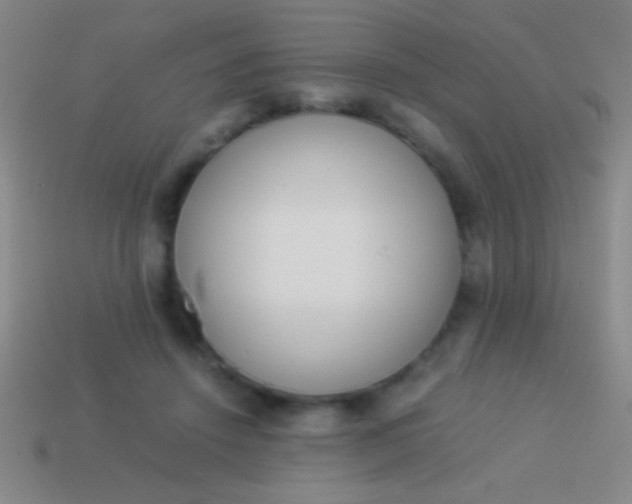 X0000114220456200910231446