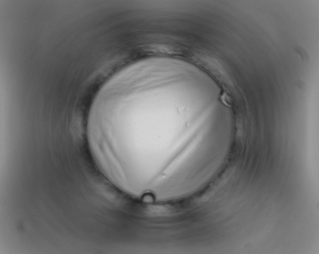 X0000114220457200910231446