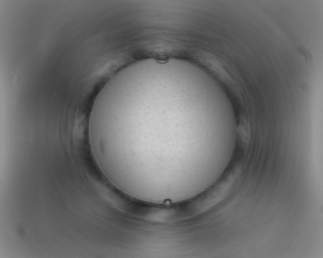 X0000114220458200910231446