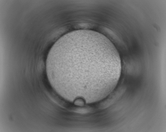 X0000114220459200910231446