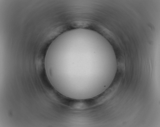 X0000114220460200910231446