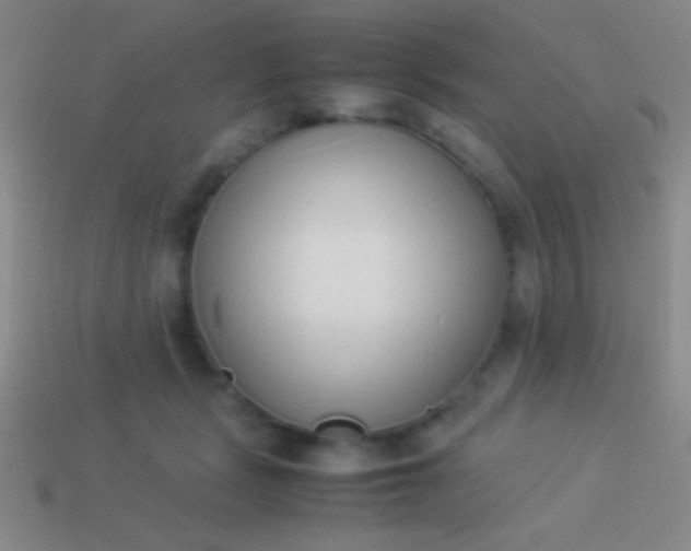 X0000114220461200910231446