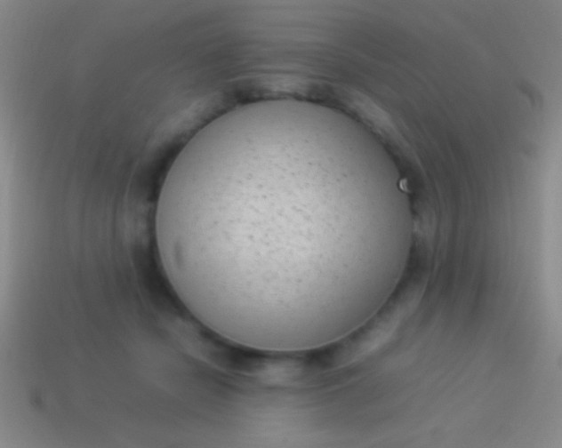 X0000114220462200910231446