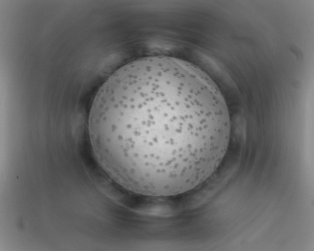 X0000114220463200910231446