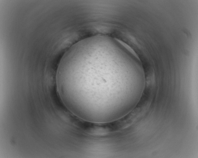 X0000114220464200910231446