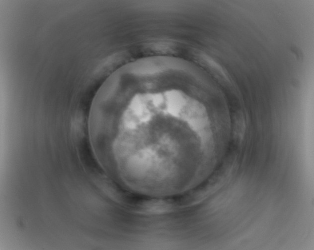 X0000114220465200910231446