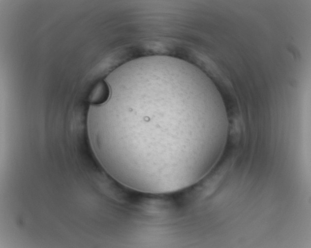 X0000114220466200910231446