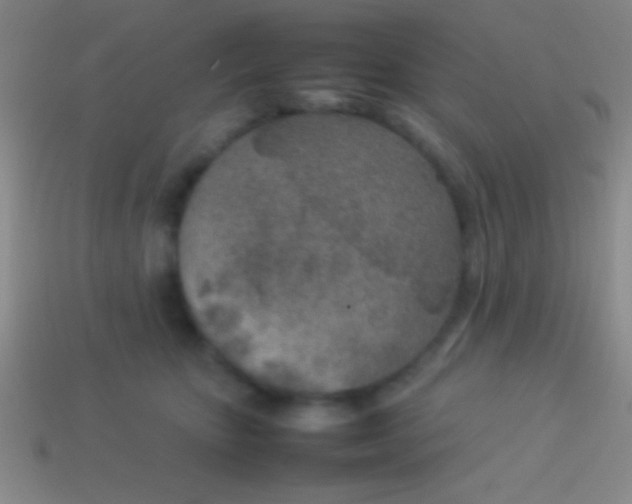 X0000114220467200910231447