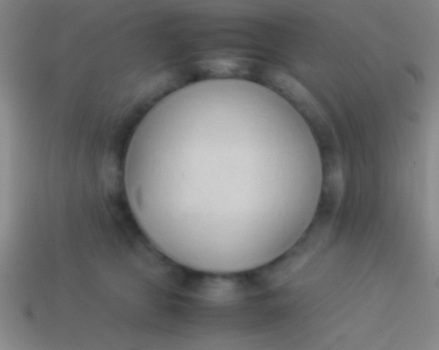 X0000114220469200910231447