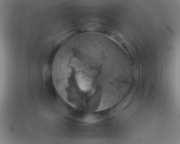 X0000114220471200910231447