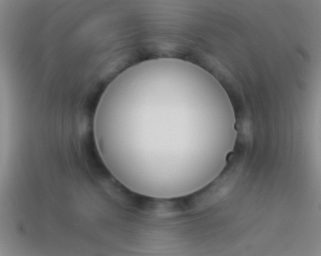 X0000114220472200910231447