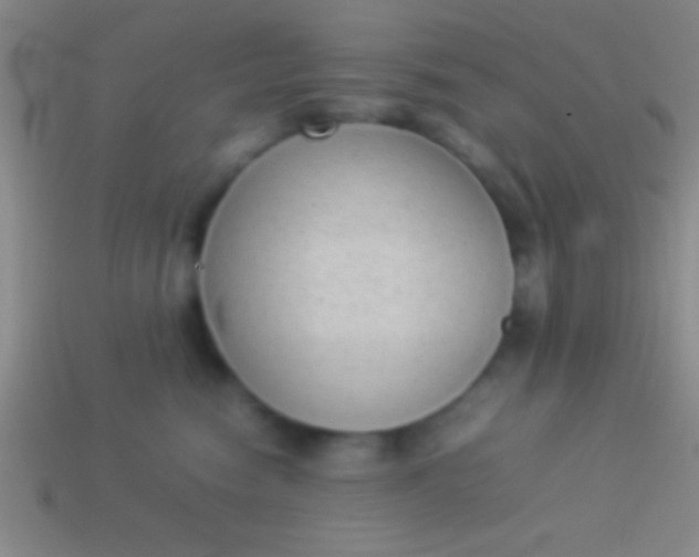 X0000114220474200910231447