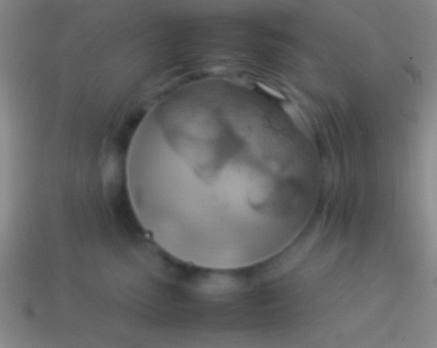 X0000114220475200910231447