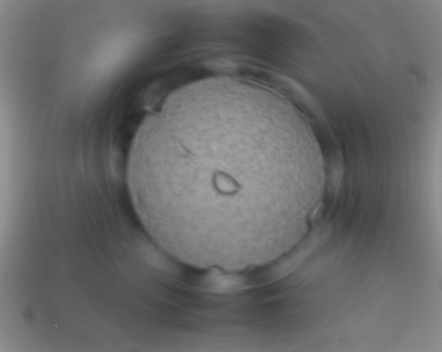 X0000114220477200910231447