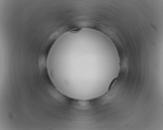 X0000114220478200910231447