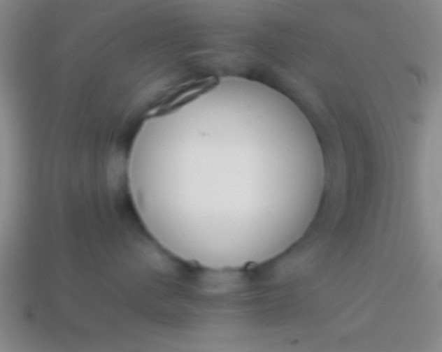 X0000114220480200910231447