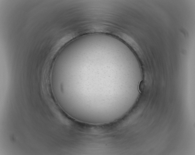 X0000114220481200910231446