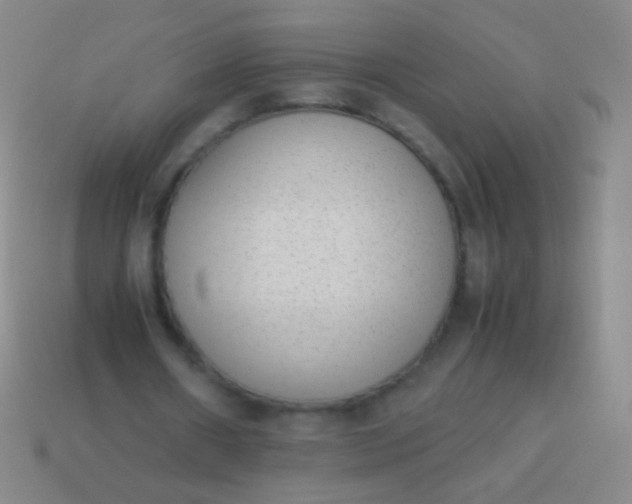 X0000114220482200910231446