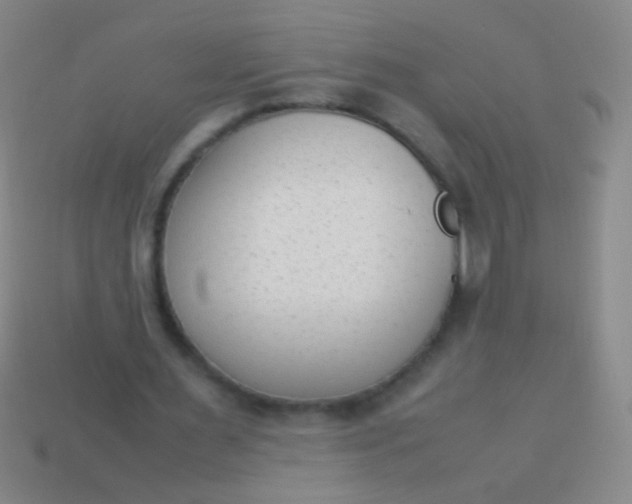 X0000114220483200910231446