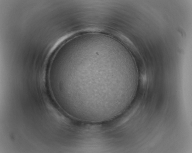 X0000114220484200910231446