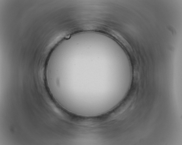 X0000114220485200910231446