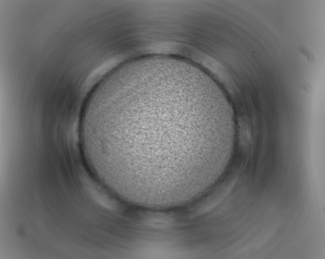 X0000114220486200910231446