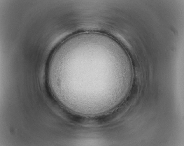 X0000114220487200910231446