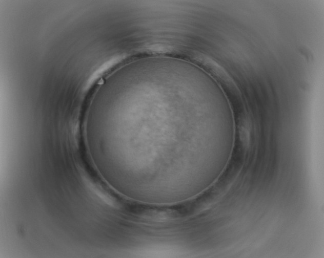 X0000114220488200910231446