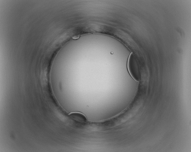 X0000114220489200910231446