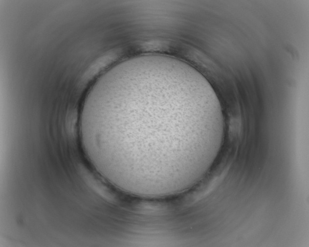 X0000114220490200910231446