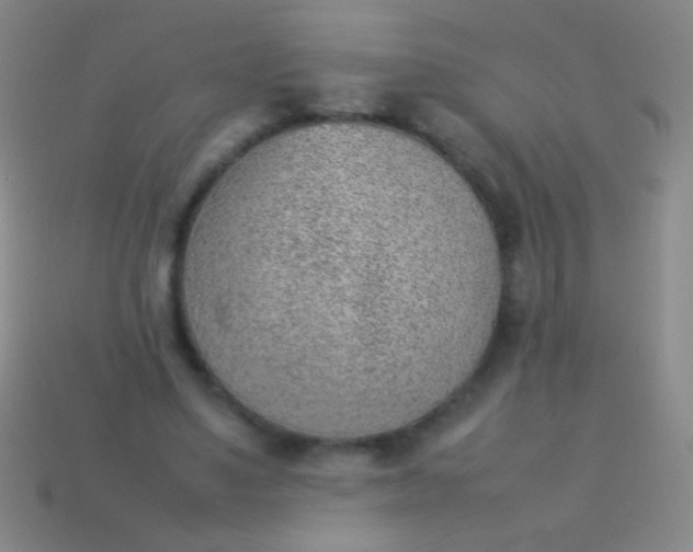 X0000114220491200910231446