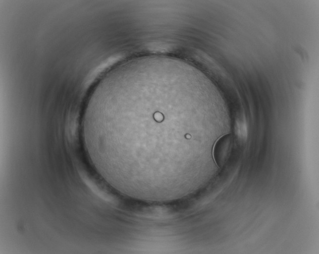 X0000114220492200910231446